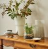 Picture of CATALINA VASE SMALL
