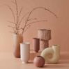 Picture of BERGAN VASE SMALL ROSE